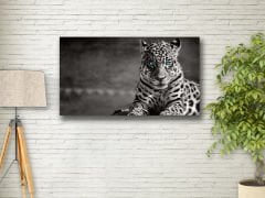 Canvas Tablo